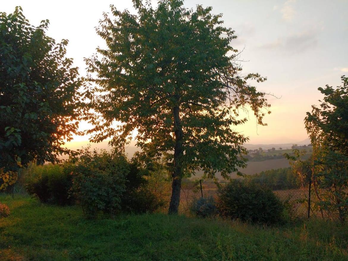I Balzani B&B Matelica Kültér fotó